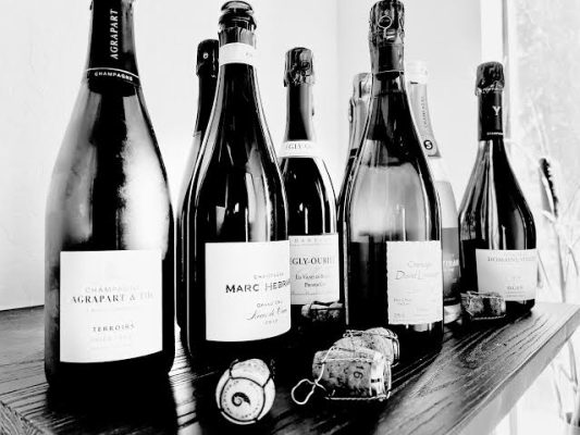 grower Champagne vs Maison